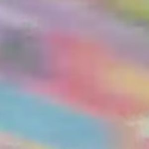 Meet your Posher, Sullie